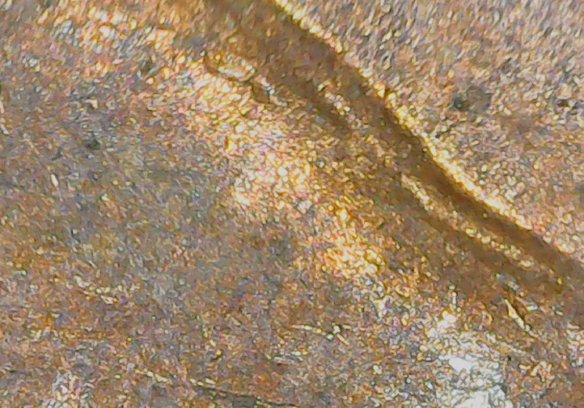 Is-This-A-Double-Die-1952-Cent