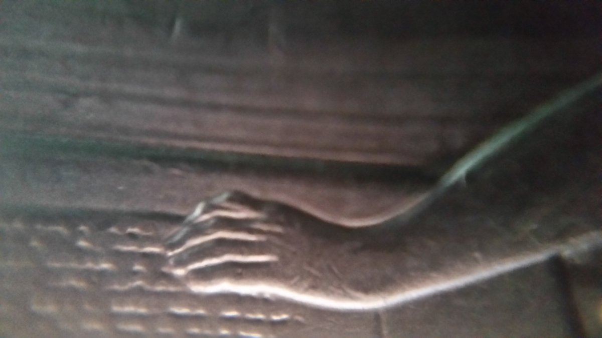 2019-West-Mariana-Quarter-Error/Doubled-Die?