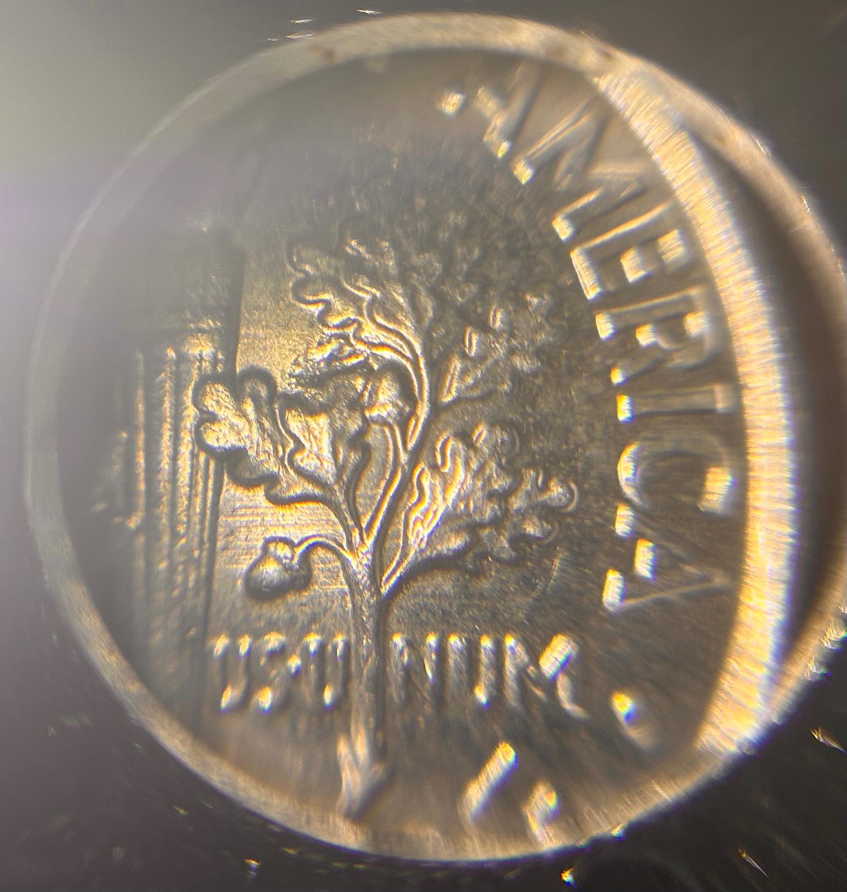 2019-P-Mint-Roosevelt-Dime-Error-Or-PMD