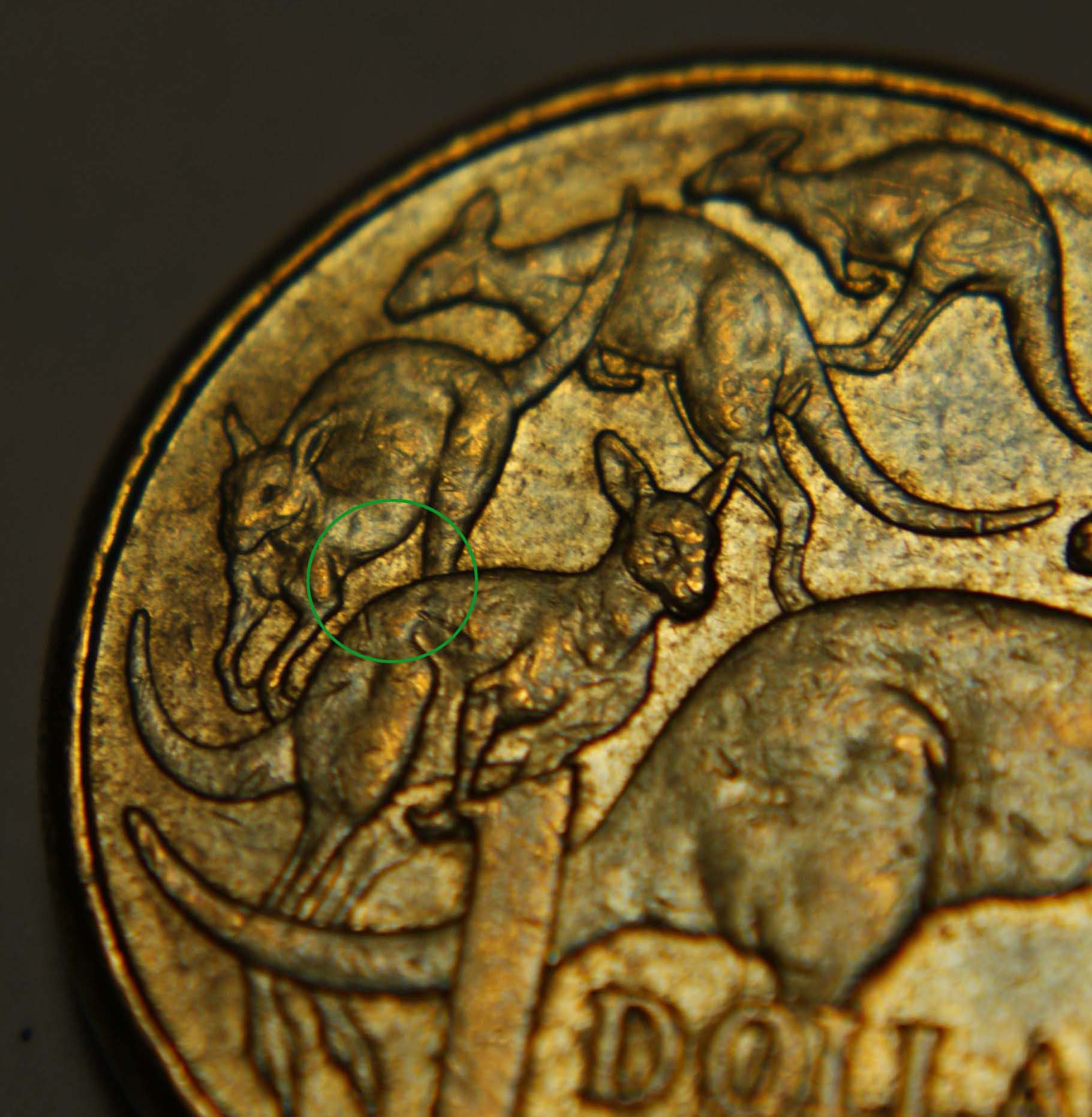 2009-$1-Coin-Kangaroo-Missing-A-Leg?