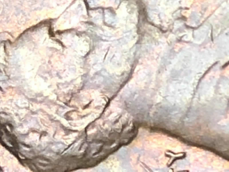 1979-D-Double-Ear-Penny