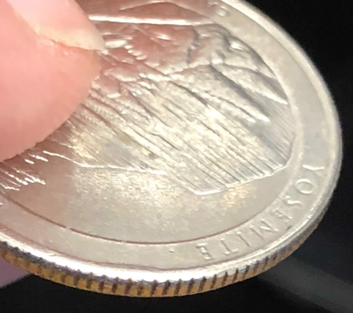 2010-P-California-ATB-Possible-Cud?