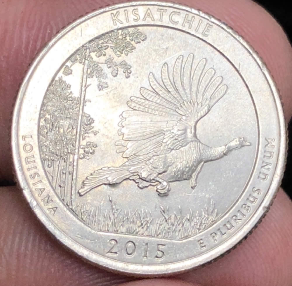 2015-Louisiana-P--ATB.-Help-Identifying-Appendage-On-Birds-Claw.