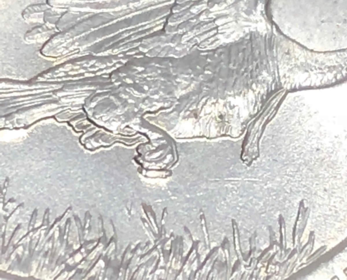 2015-Louisiana-P--ATB.-Help-Identifying-Appendage-On-Birds-Claw.