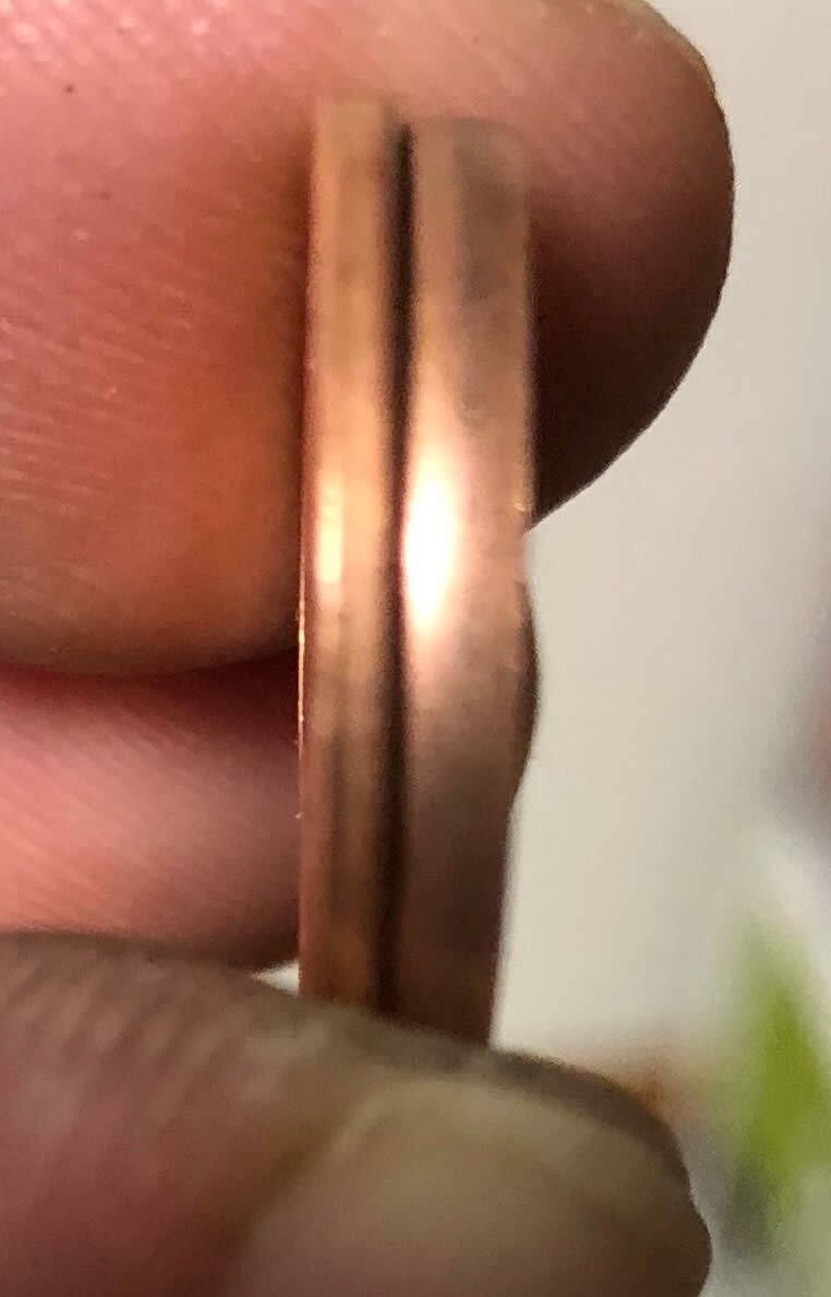 2011-P-Shield-Cent-Heavy-Rim-Thickness-And-Shield-Almost-Touches-Rim
