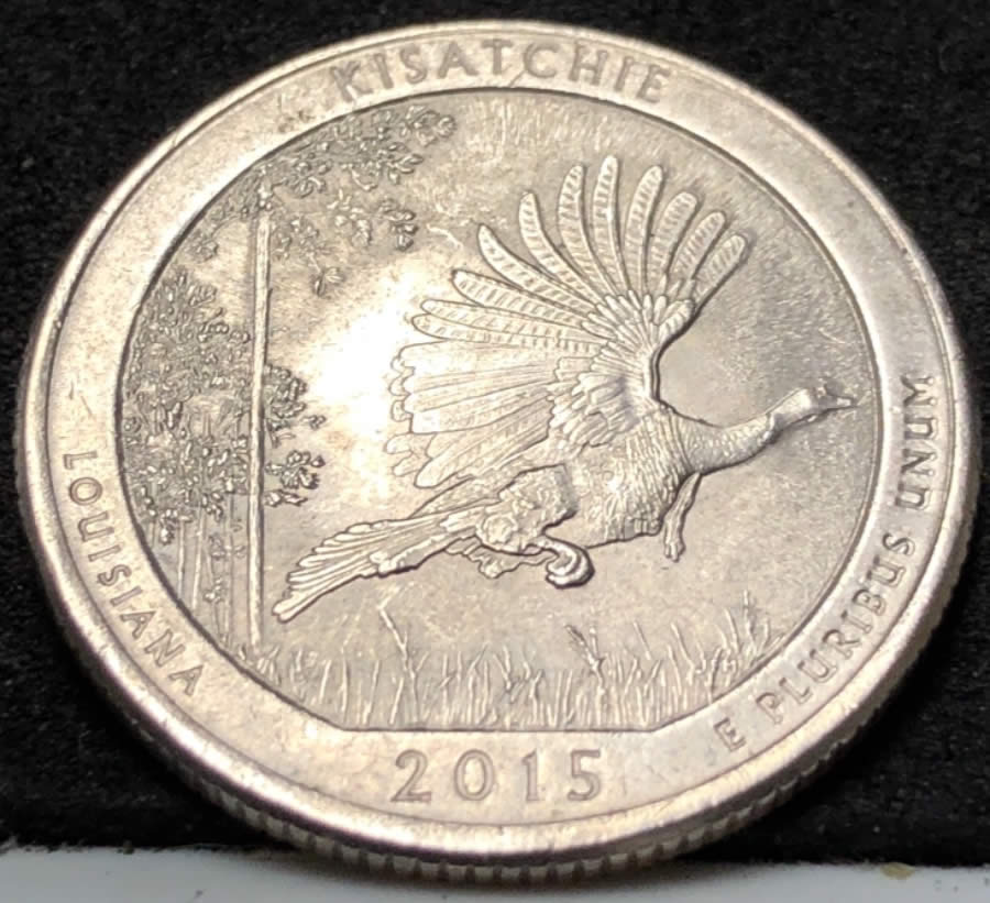 2015-P-ATB--Louisiana-Coin.-Help-With-Patina-And-Brushmarks
