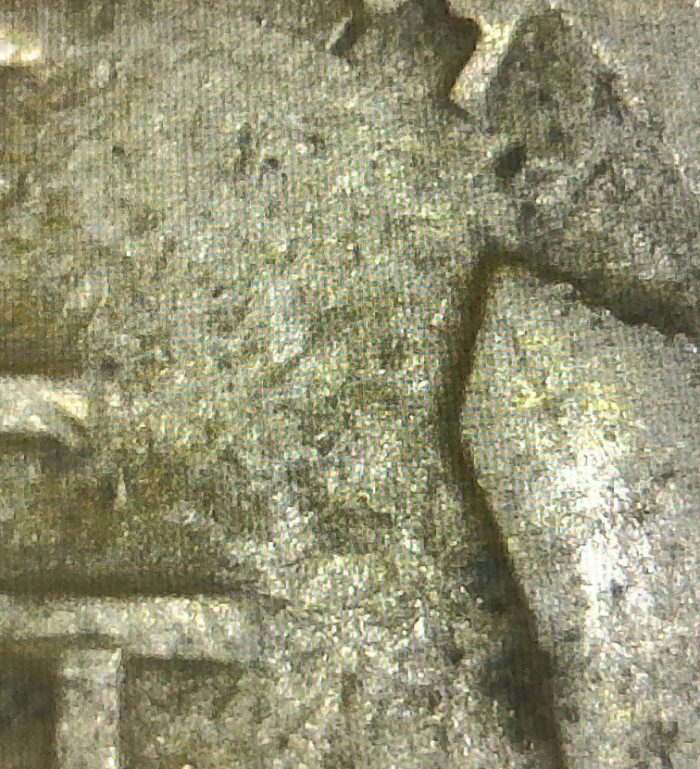 1909-S-Or-1919-S-Lwc.-Worn-And-Can’t-Tell.