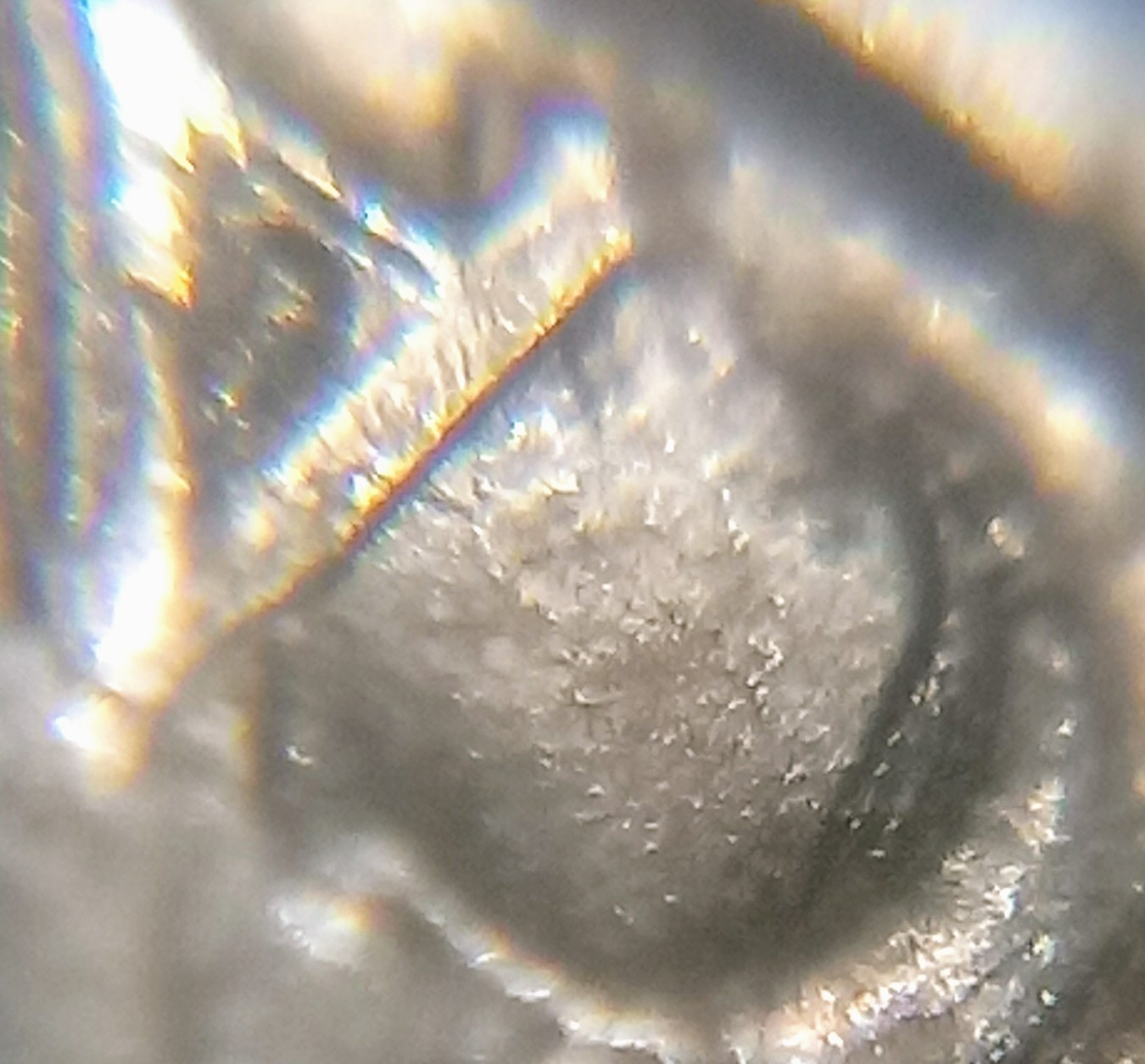 1960-Jefferson-Nickel-*must-See*--Triple-Do/Triple-Dr?-On-All-Devices