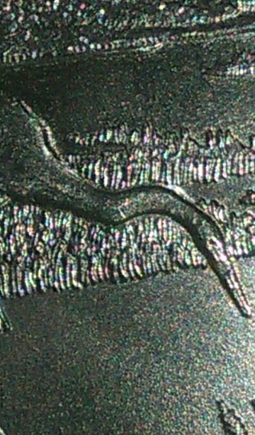 2015-Delaware-Quarter-Errors!?