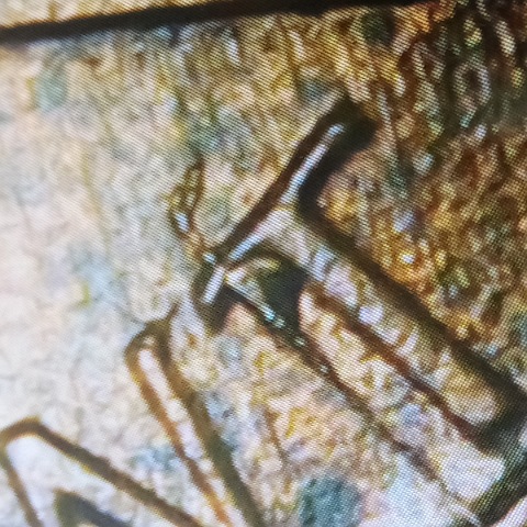 1984-Lincoln-Cent-Possible-Die-Cracks