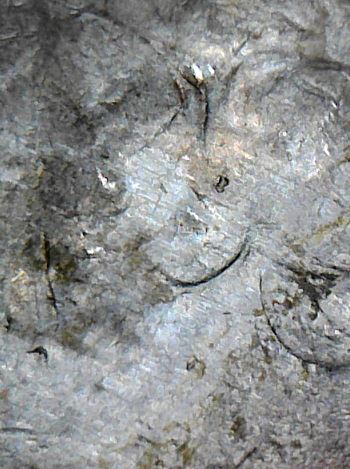 1990-D-Washington-Quarter---DDO-Ear?-L,-IGWT,-MM?-New-Variety?