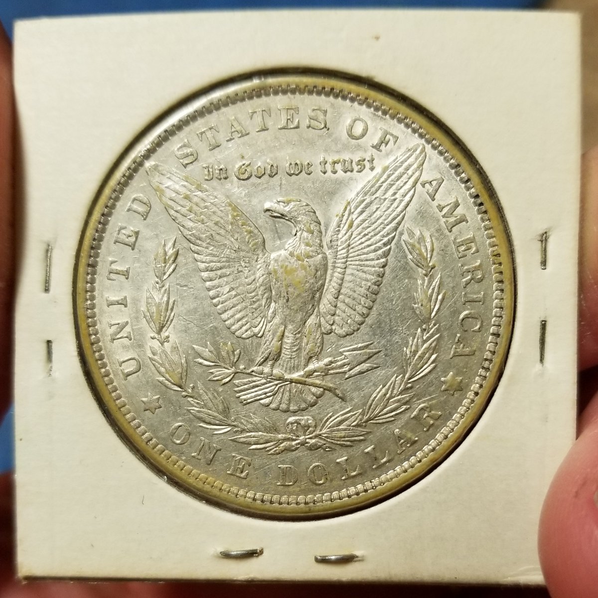 Morgans-And-Other-Classic-Coins