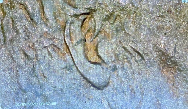 2000-D-Close-AM-Penny-With-Multiple-Errors!