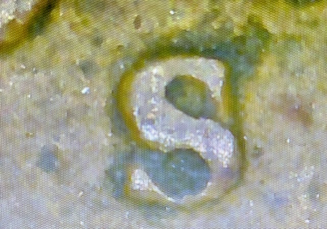 1941-S-Wheat-Penny-Errors