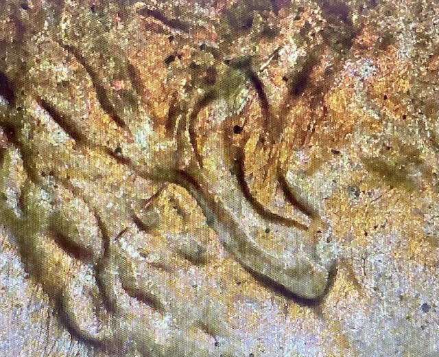 1988-Lincoln-Cent-Doubled-Ear?