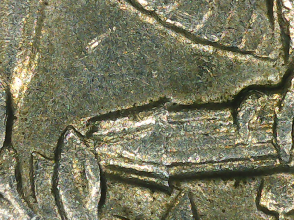 1972-Quarter.-Double-Die?-Extra-D?