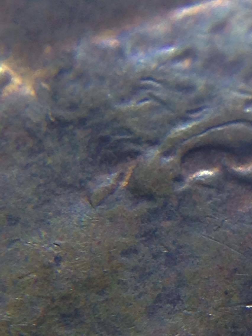 1945-Wheat-Cent---Probable-Doubled-Ear-Or-Die-Event?