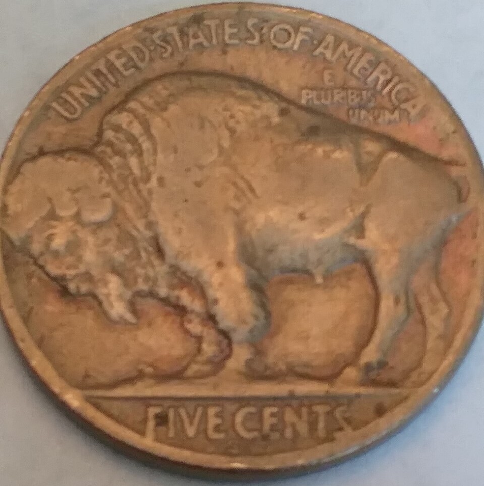 1926-S-Buffalo-Nickel-For-Grading