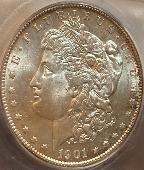 Grading-Thoughts-On-This-1901-S-Morgan-Dollar