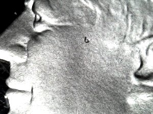 Proof-1979-S-Half-Dollar.-Teardrop-On-JFK's-Cheek?