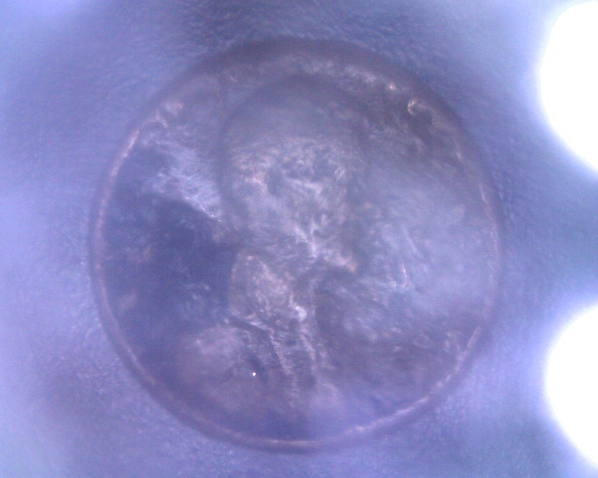 Need-Help-Identifying-Date-On-LWC.