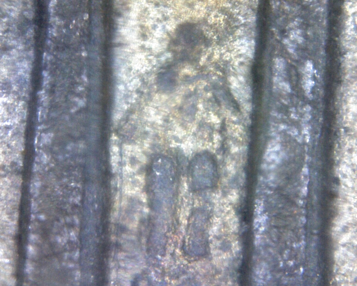 1996-D-LMC-Bar-Cent?