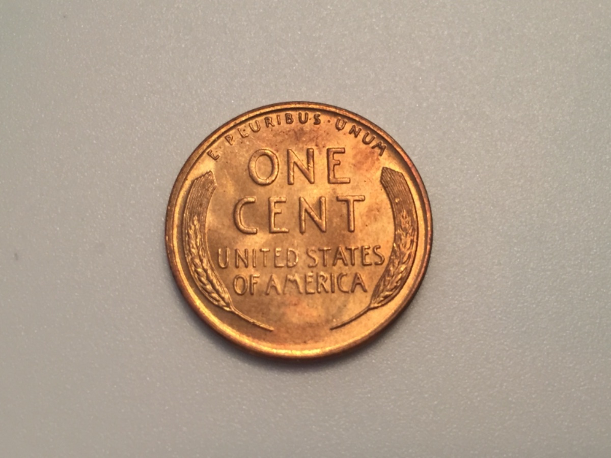 1955-S-LWC-For-Grading-Please