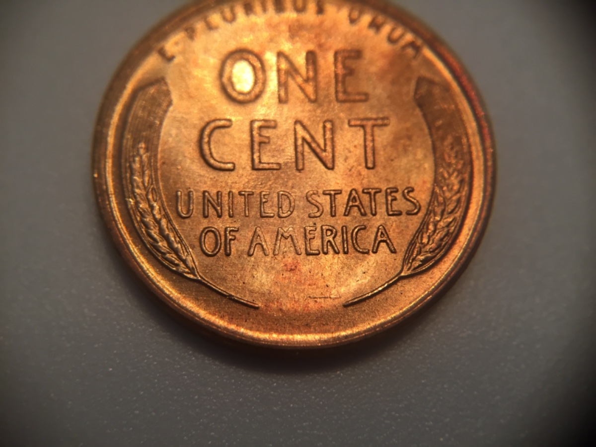 1955-S-LWC-For-Grading-Please