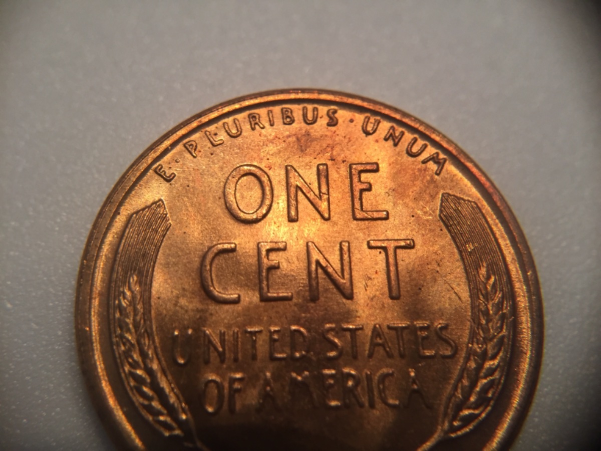 1955-S-LWC-For-Grading-Please