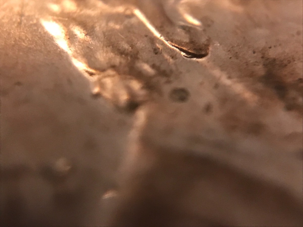 2019-D-LSC--New-Doubled-Ear-Discovery!-Crh