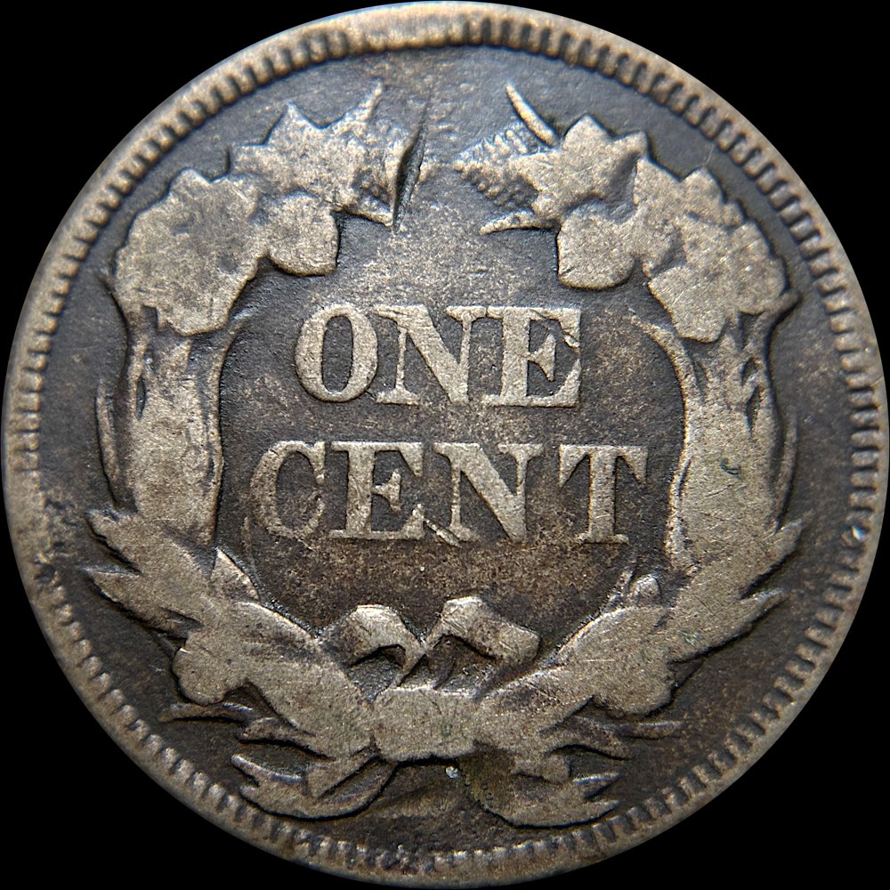 1857-Flying-Eagle-Cent--Obverse-Die-Clash-With-$20,-Snow-7,-FS-403