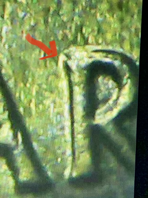 2019-W-San-Antonio-ATB-Quarter-DDO-&-Mad-Error?--*need-Help*
