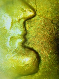 Is-This-A-Doubled-Die-Or-Machine-Doubling?-1964-D-Memorial-Cent