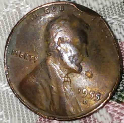 1955-D-Possible-Error-Coin?