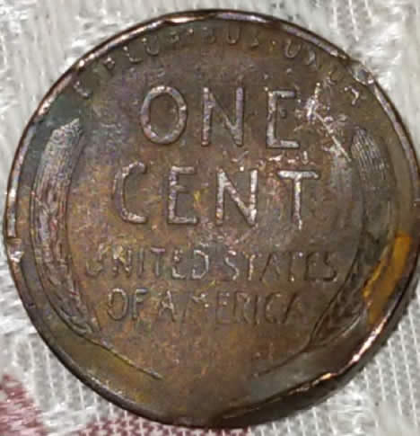 1955-D-Possible-Error-Coin?