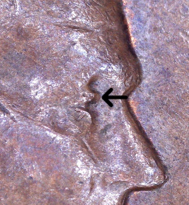 1963-D-LMC-Extra-Eyelid?