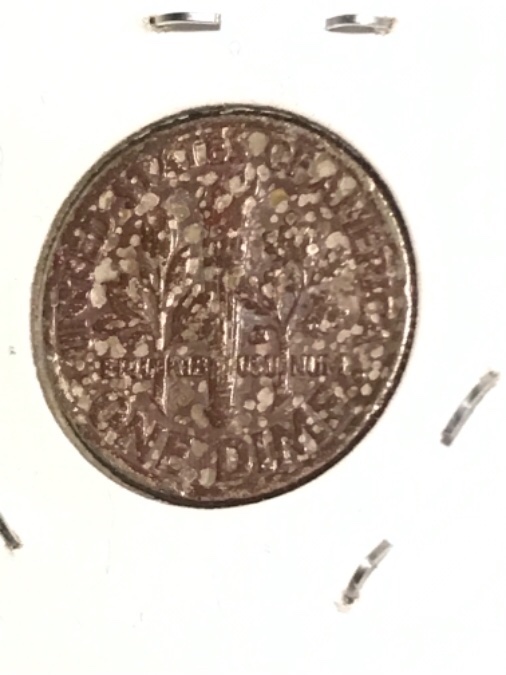 Coinberts-Odd-Dimeberts,-Pretty-Ugly-Roosevelts.-Any-Thoughts?