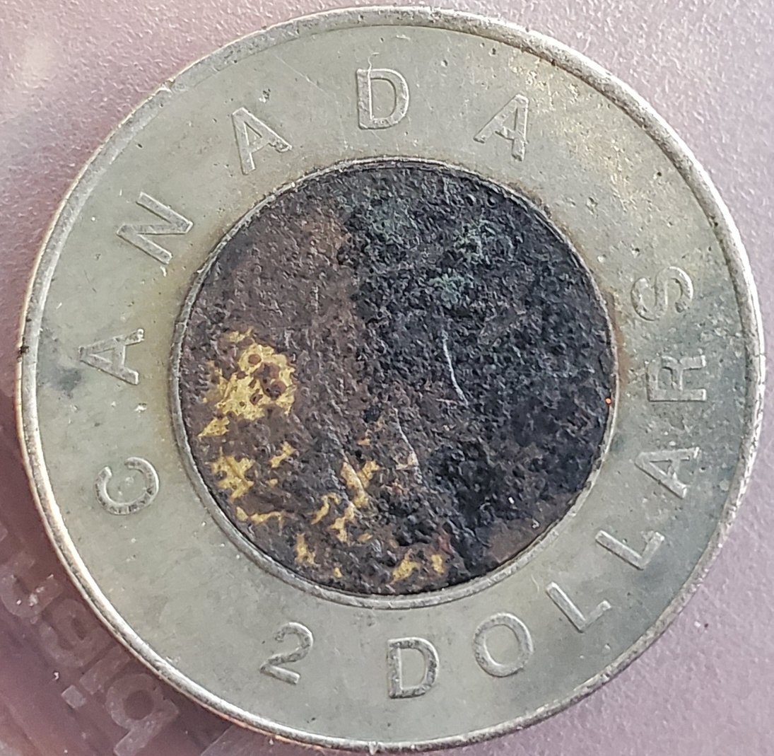 Canadian-Toonie-Planchet-Error?-Or-What?-Someone-Hurt-It?-Or-From-Mint?