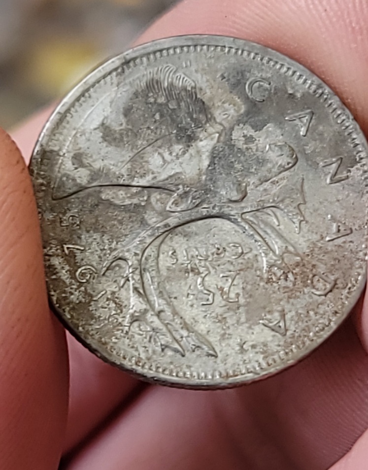 1975-Strike-Error?-20x-Mag-Caribou-Under-Queen?-Queen-Under-Caribou?-Beak?