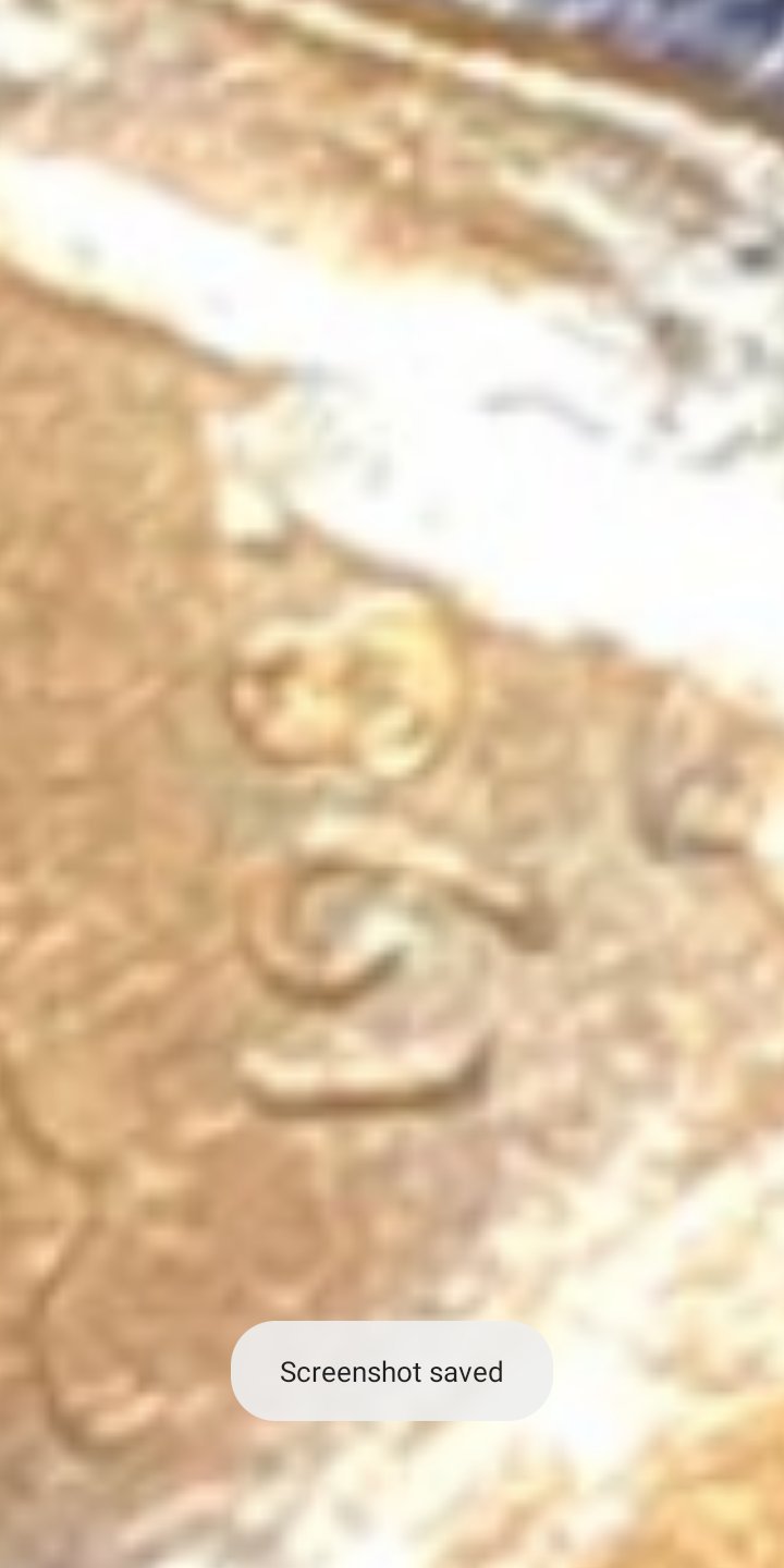 Possible-Copper-Transitional-Lincoln-198?