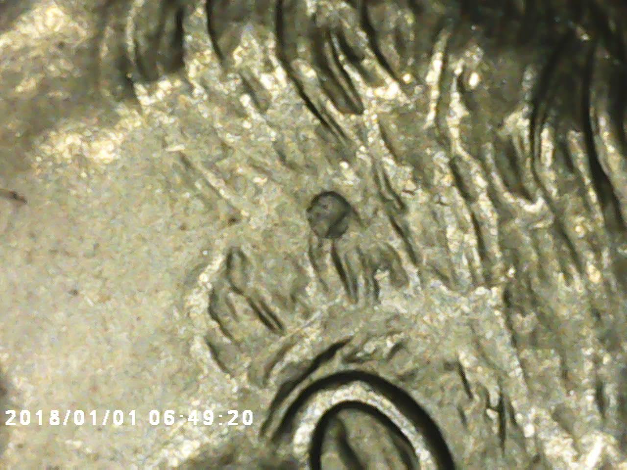 1977-Eisenhower-S-Weird-Hole-In-Head?-Looks-Like-A-Letter
