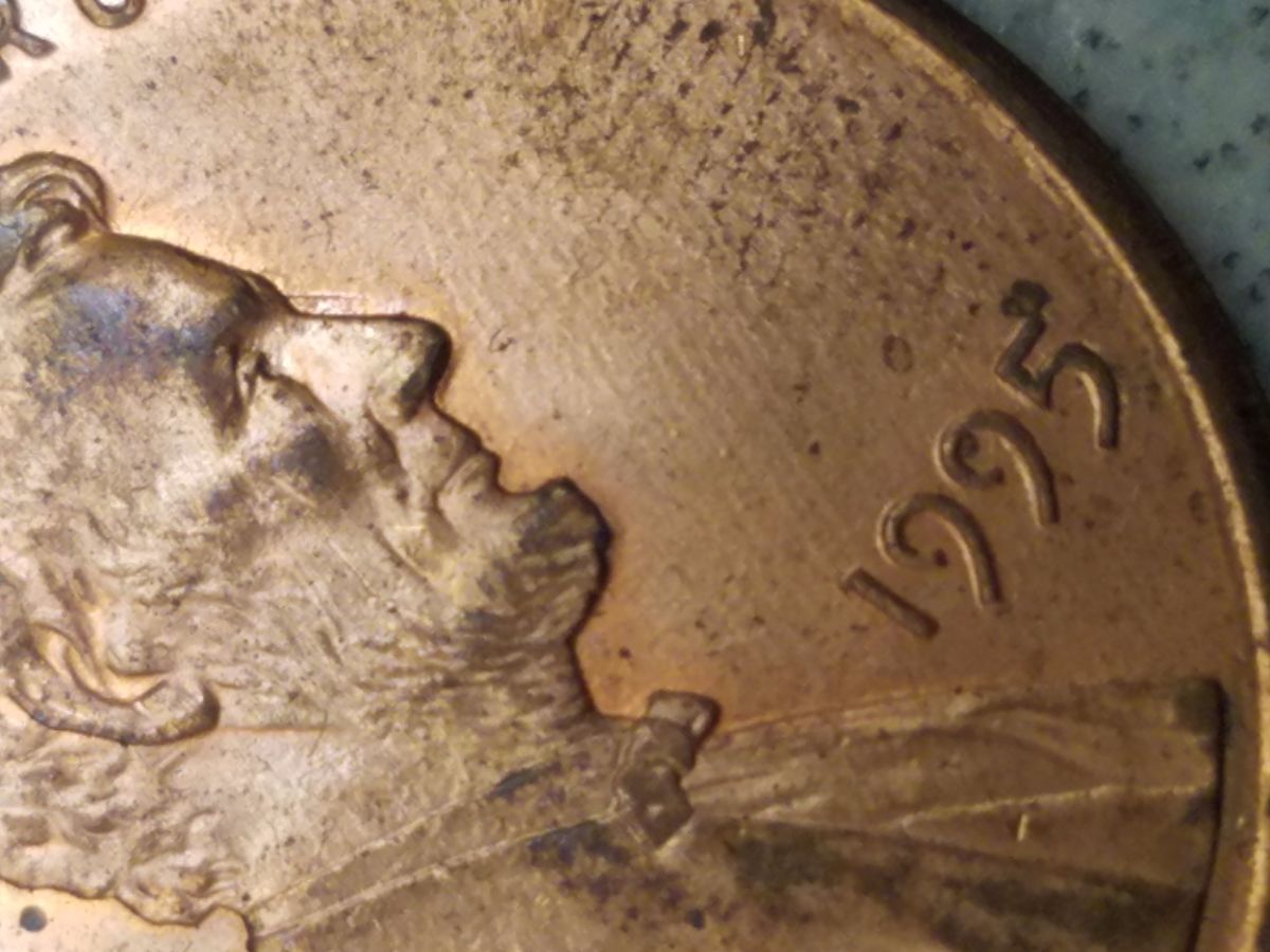 1995-Penny-Possible-Doubling-By-Nose?