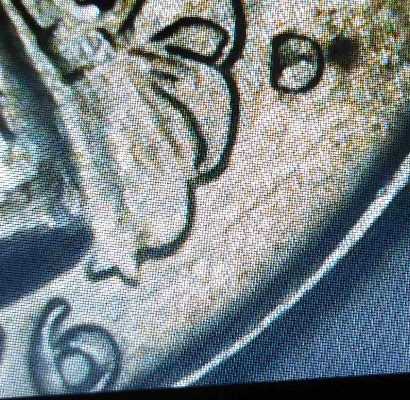 If-I-Found-A-Bicentinneal-1976-At-End-Of-Roll-And-It-Has-An-Error-Does-It-Lose-Its-Value?