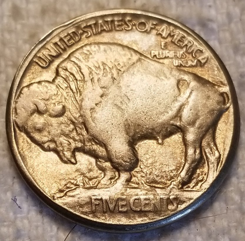 Could-This-1934-P-Buffalo-Nickel-Be-Real?--Five-Cents-On-Raised-Ground