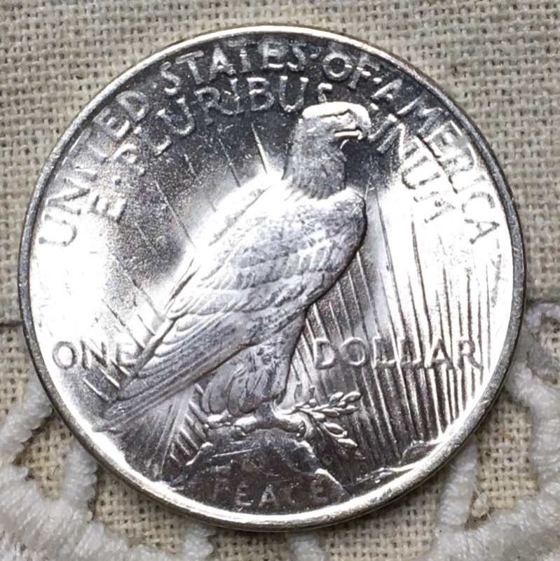 Help-Identifying-Stain-On-Gem-Peace-Dollar---Updated-Pics