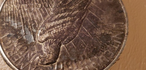 1925-Peace-Dollar-Toning