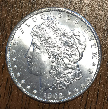 1902-O-Morgan-Grading---Newbie-Needs-Help-: