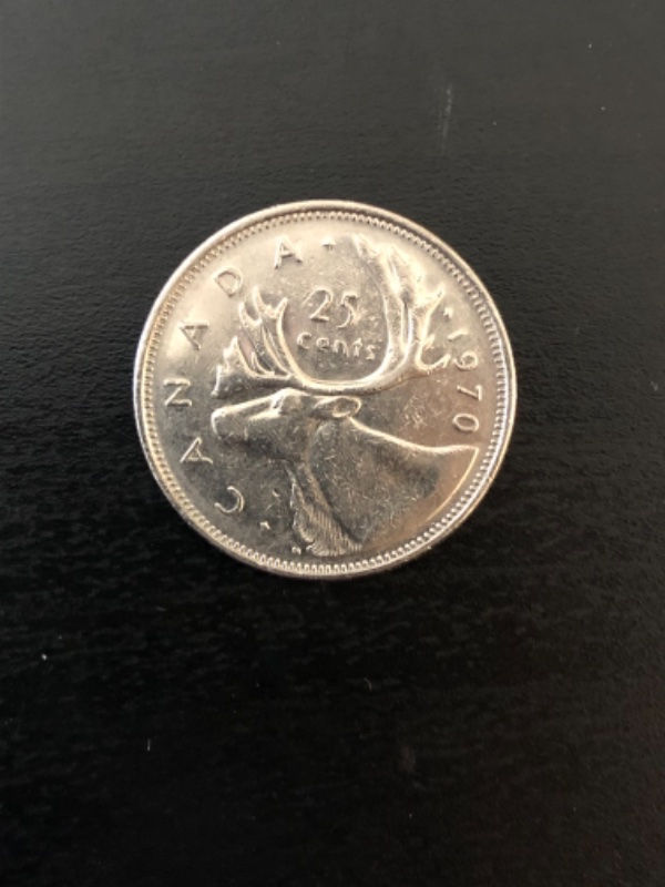 Canadian-Roll-Hunting