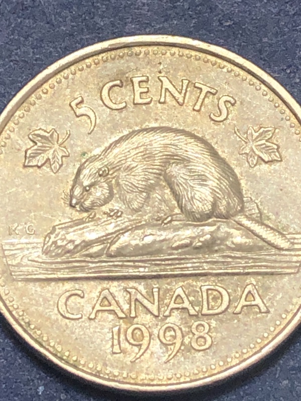 Canadian-Roll-Hunting