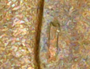 1963-Canadian-Cent-Damage-Or-Not?
